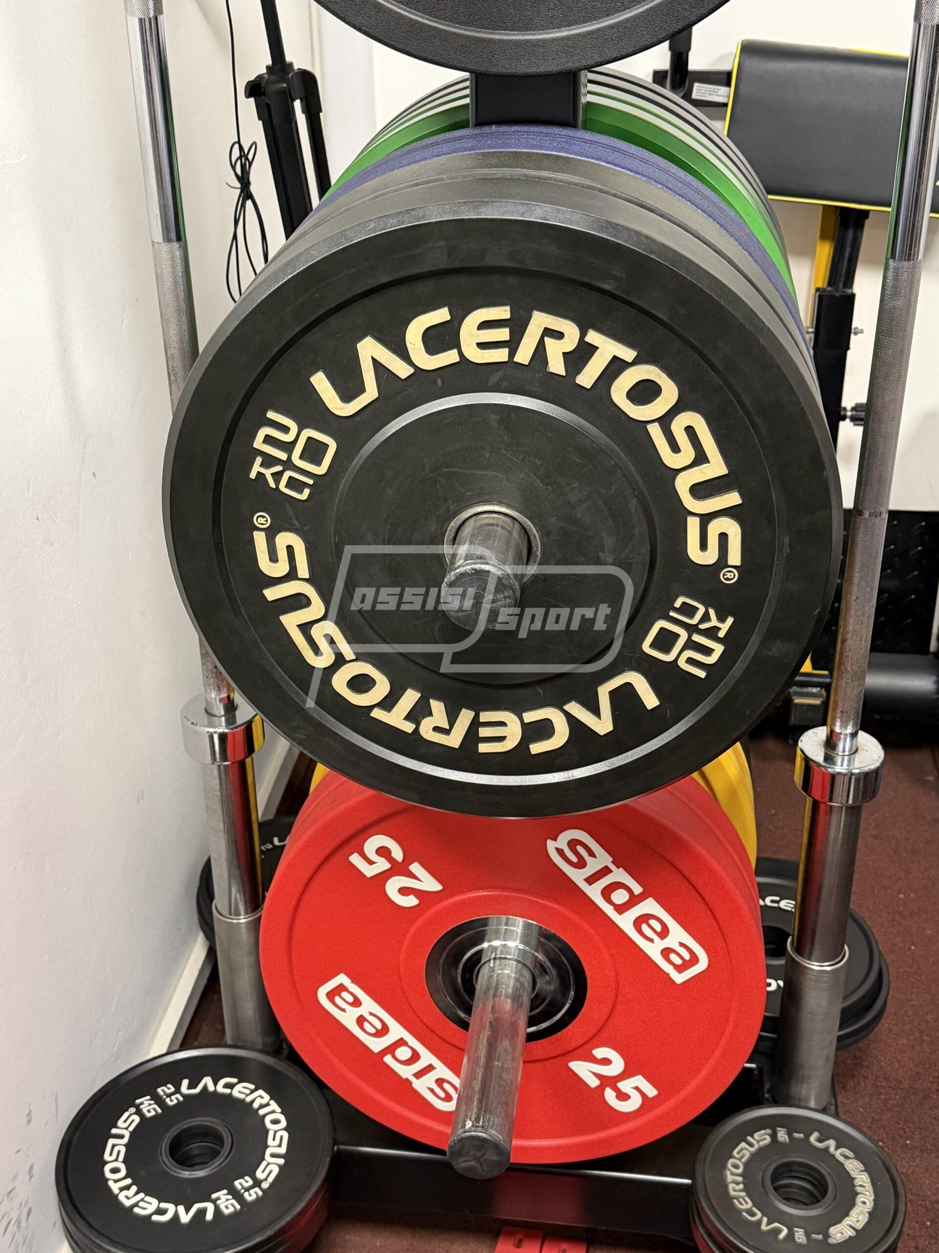 Luca “FitBro” Broccatelli