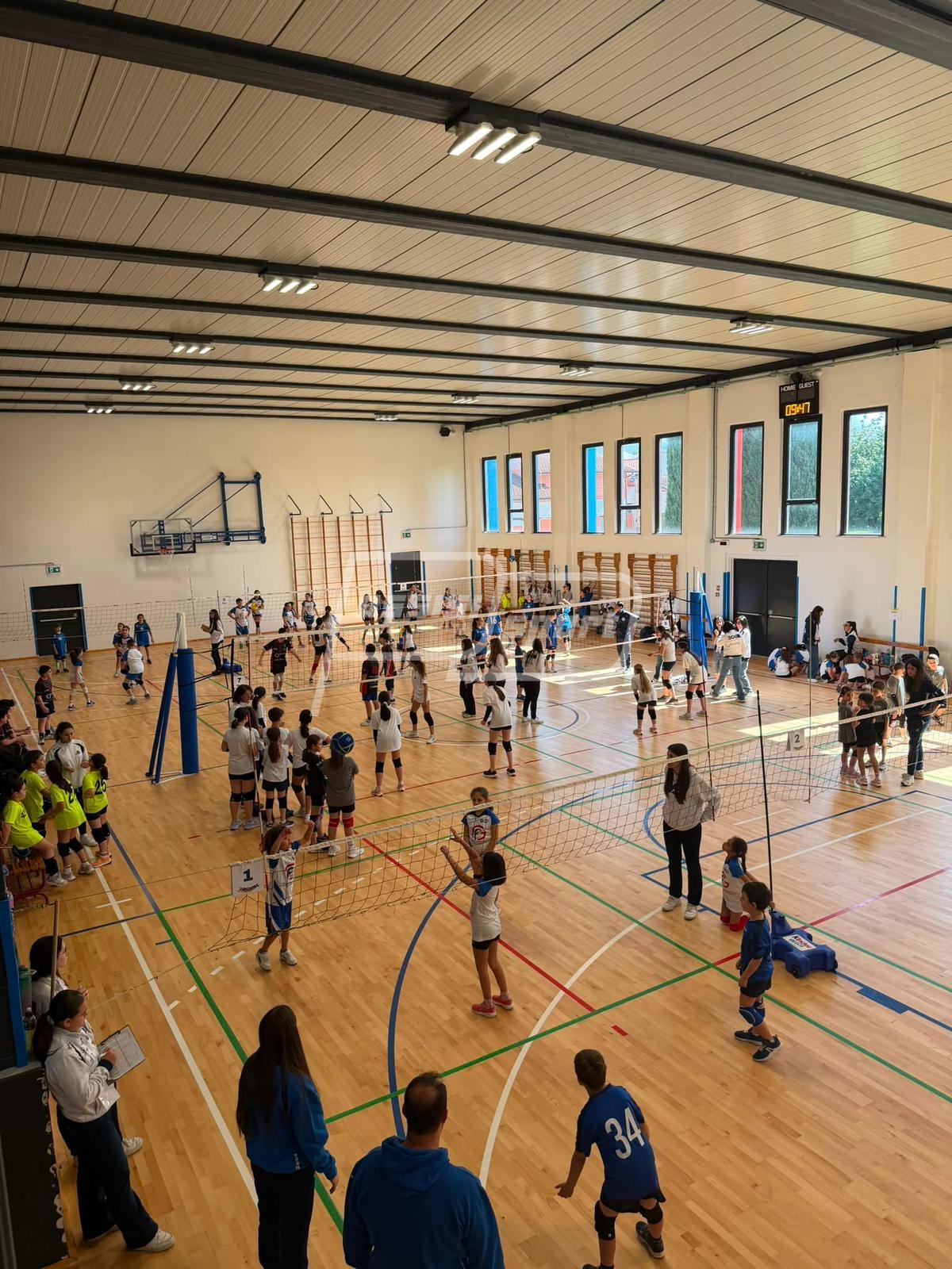 Volley86