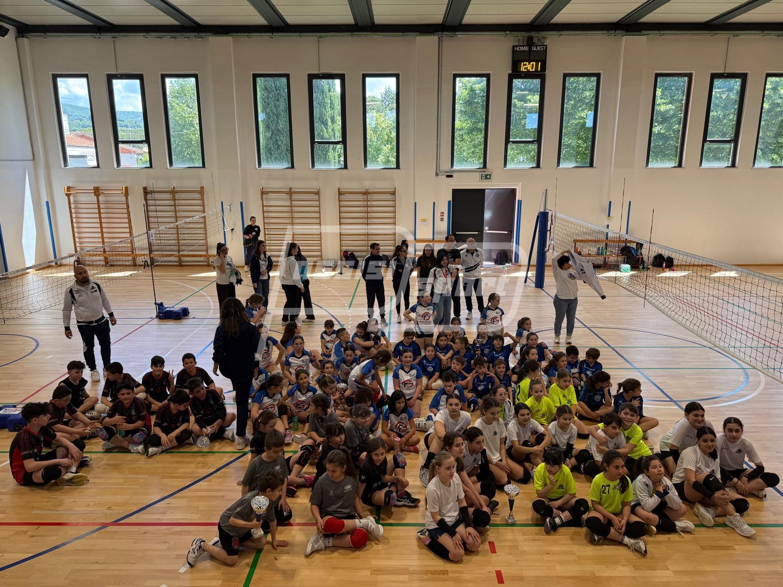 Volley86
