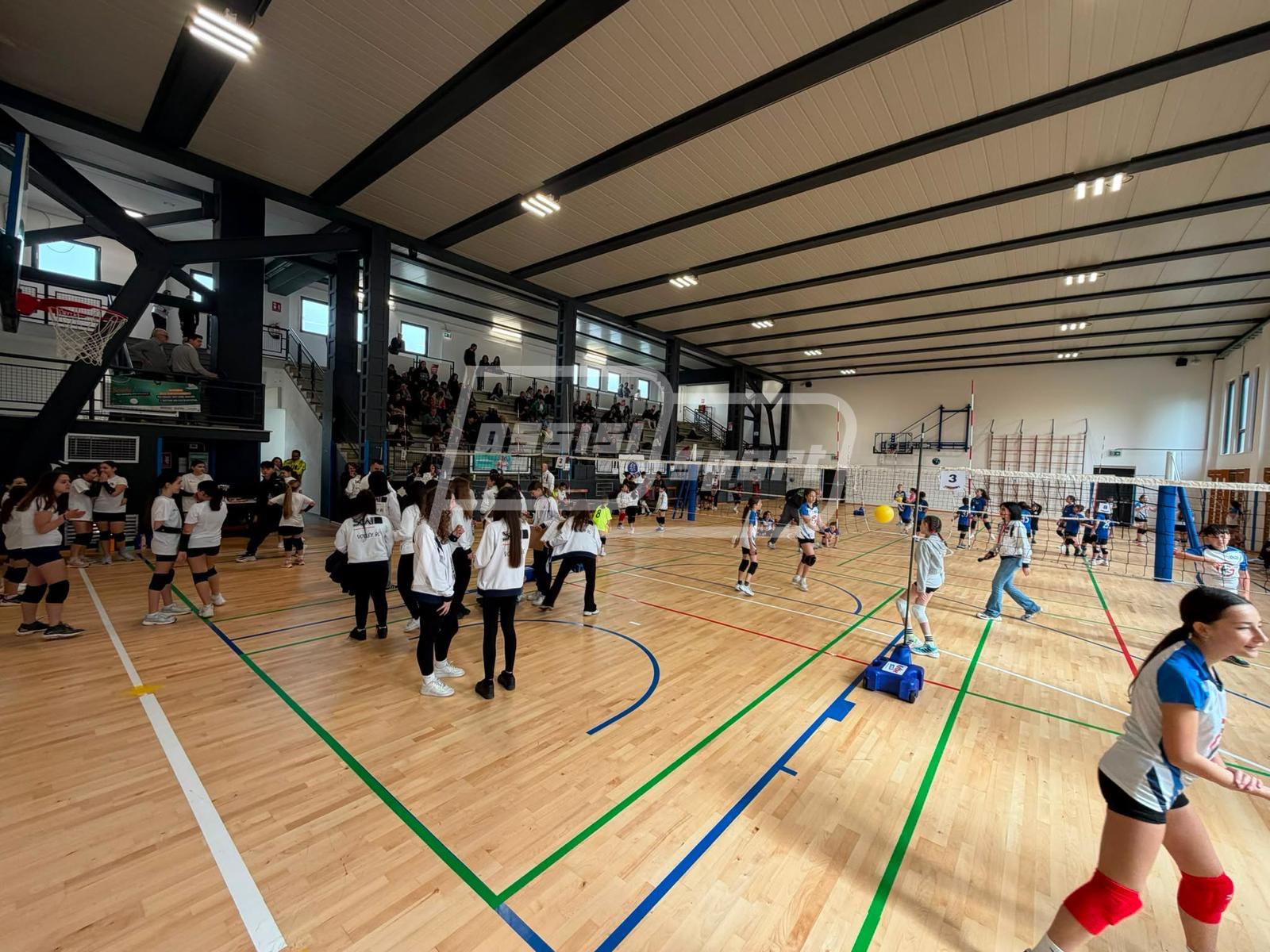 Volley86