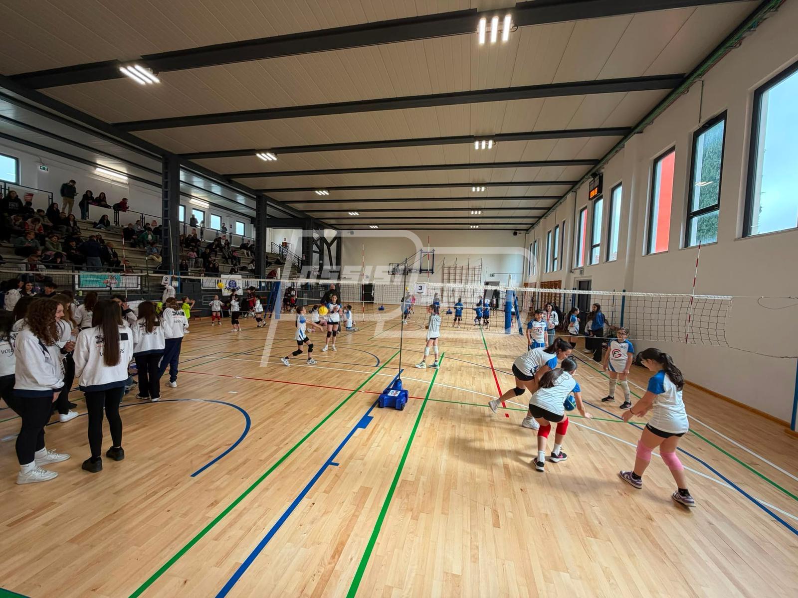 Volley86