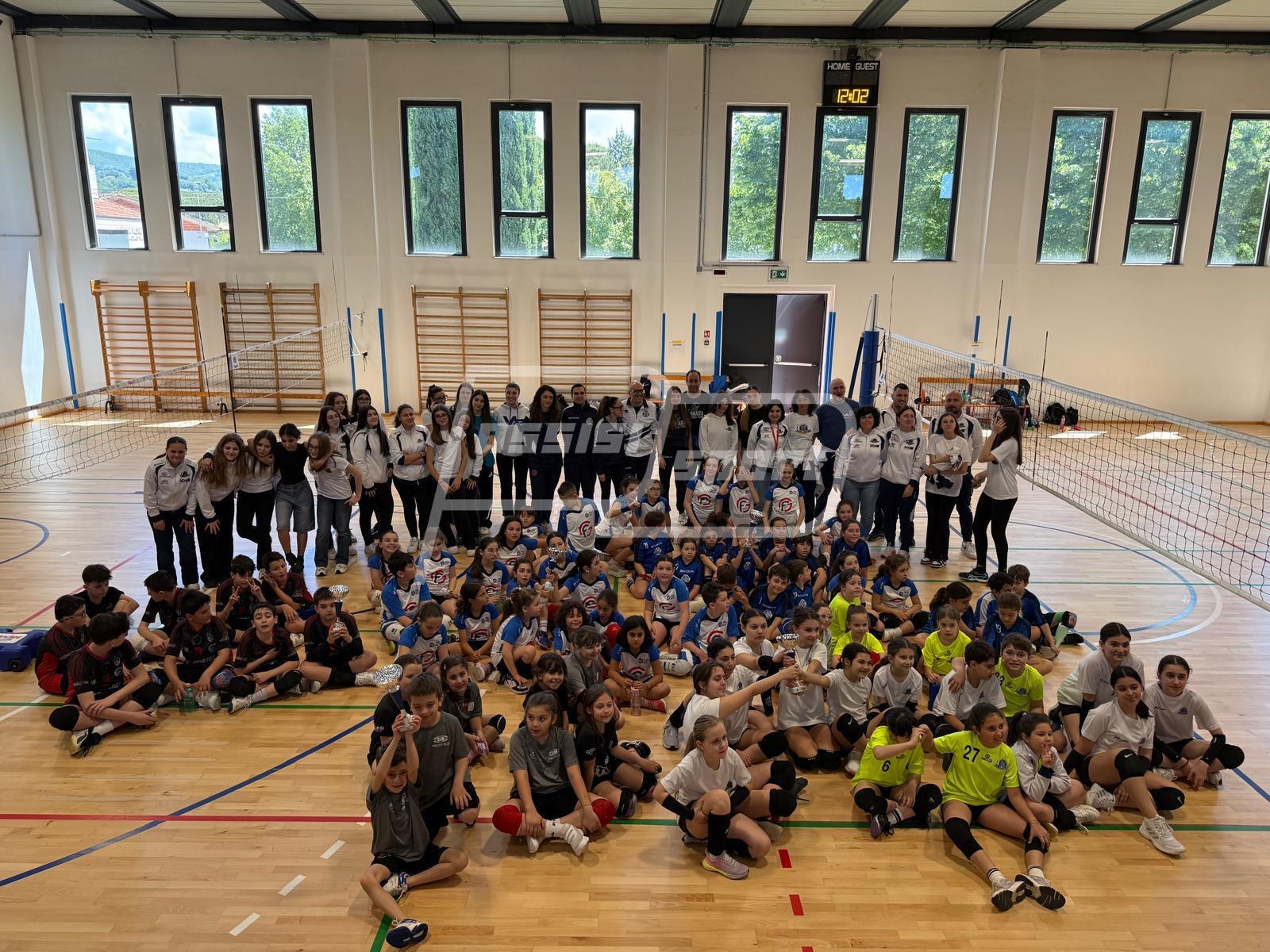 Volley86
