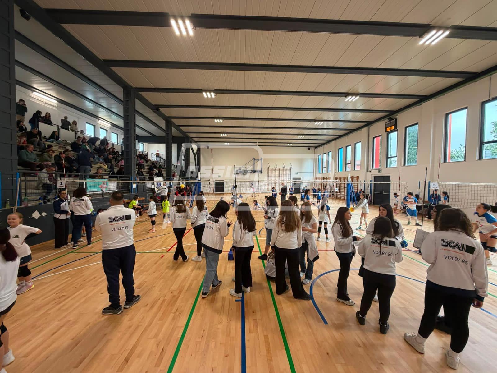 Volley86