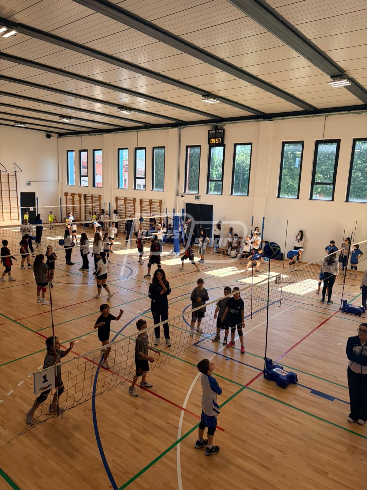 Volley86