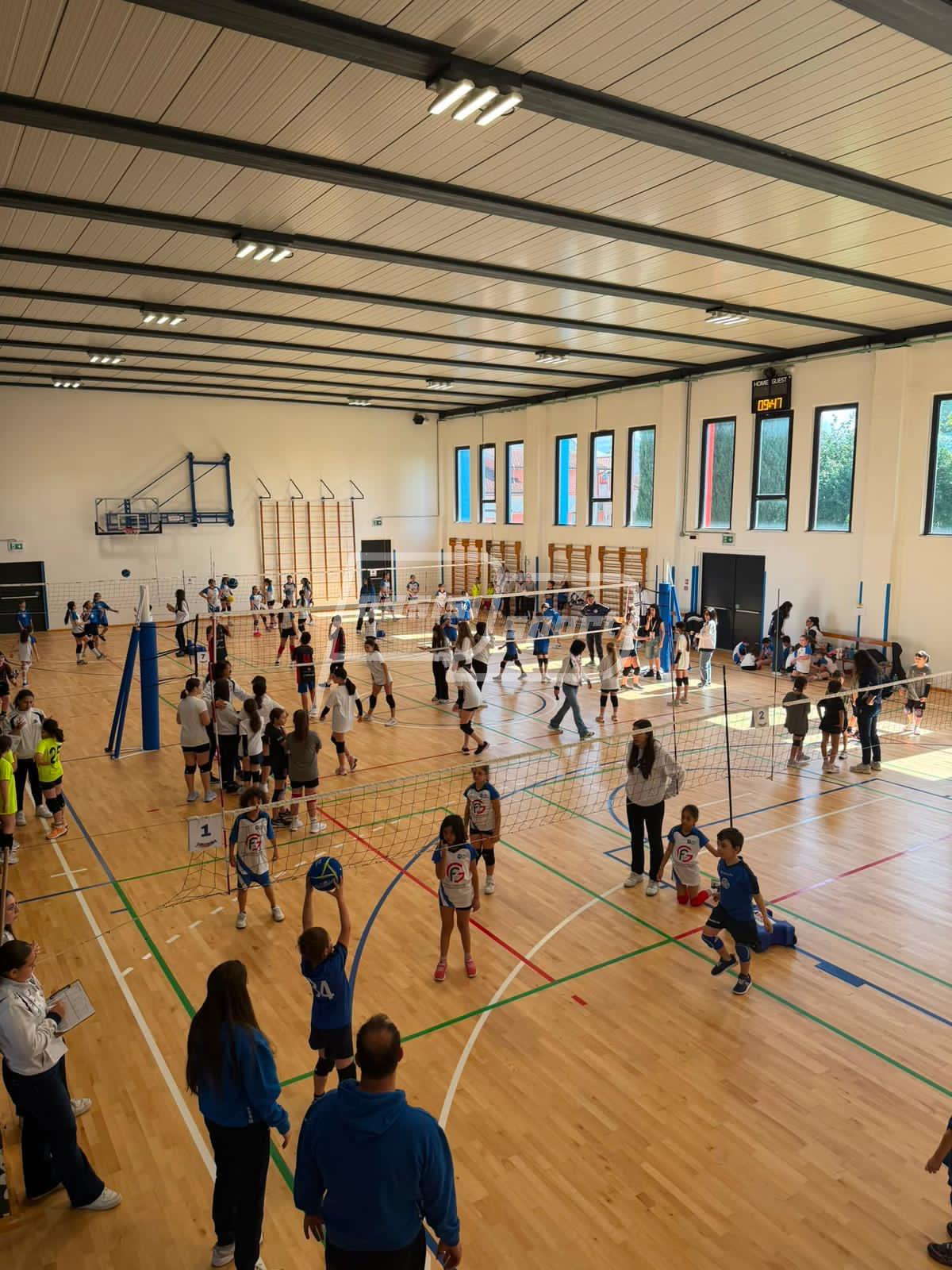 Volley86