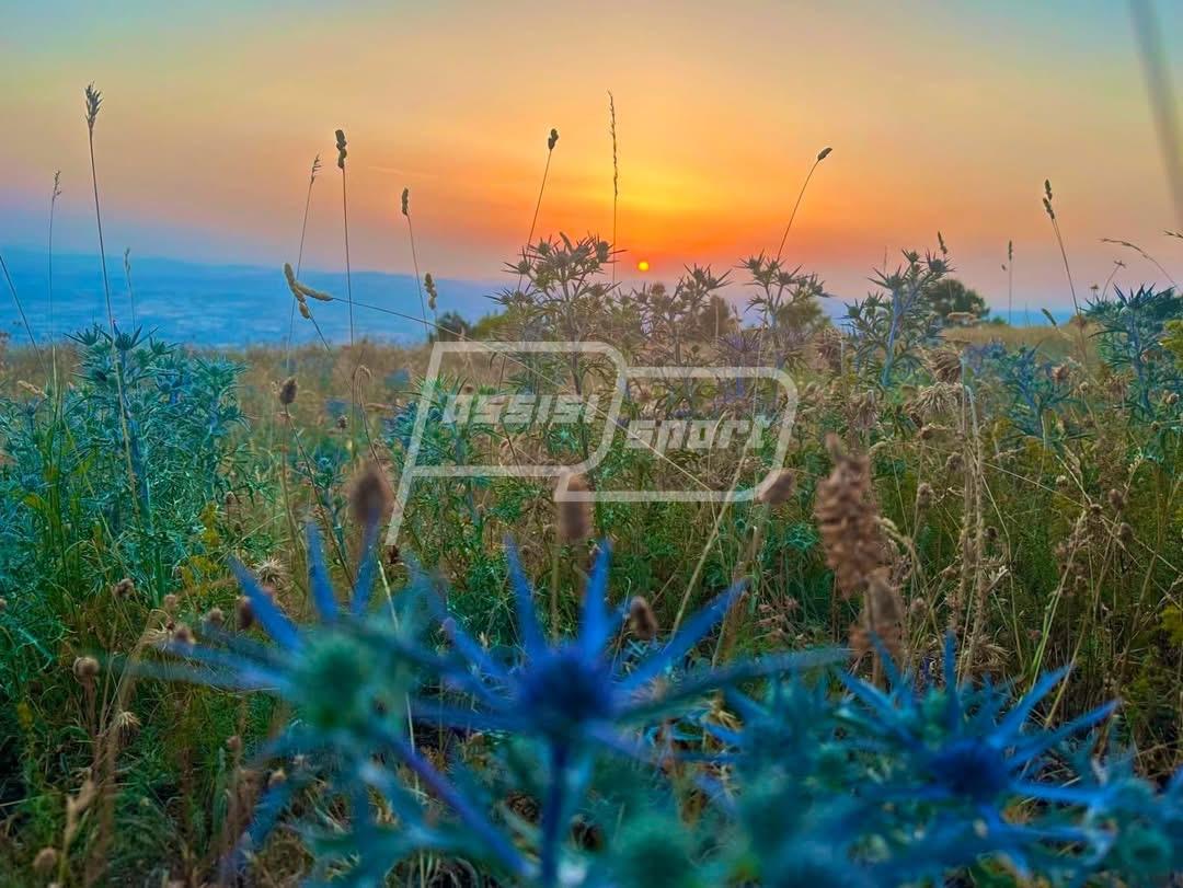 Assisi Runners Monte Subasio 2026