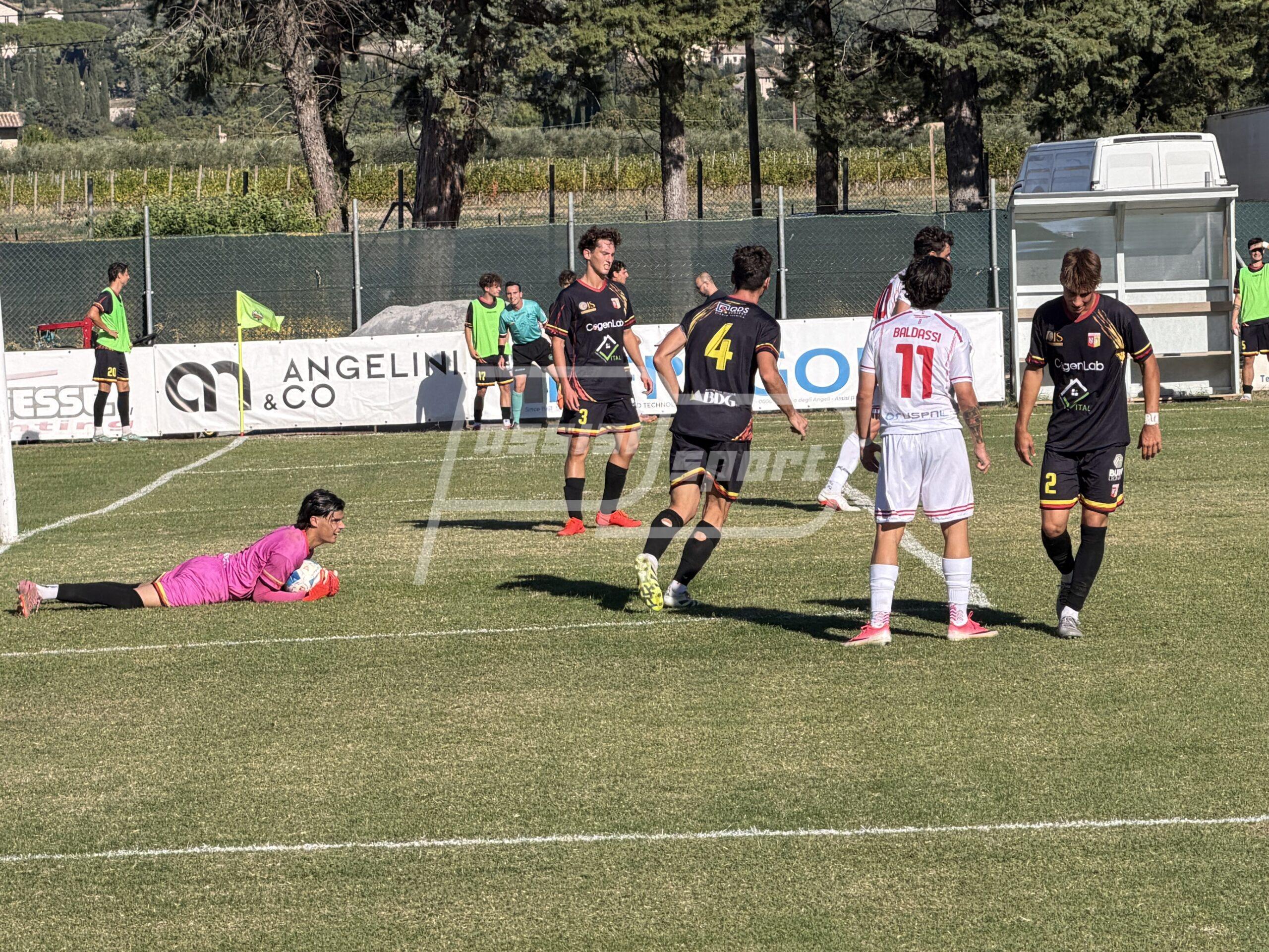 Angelana – Ancona