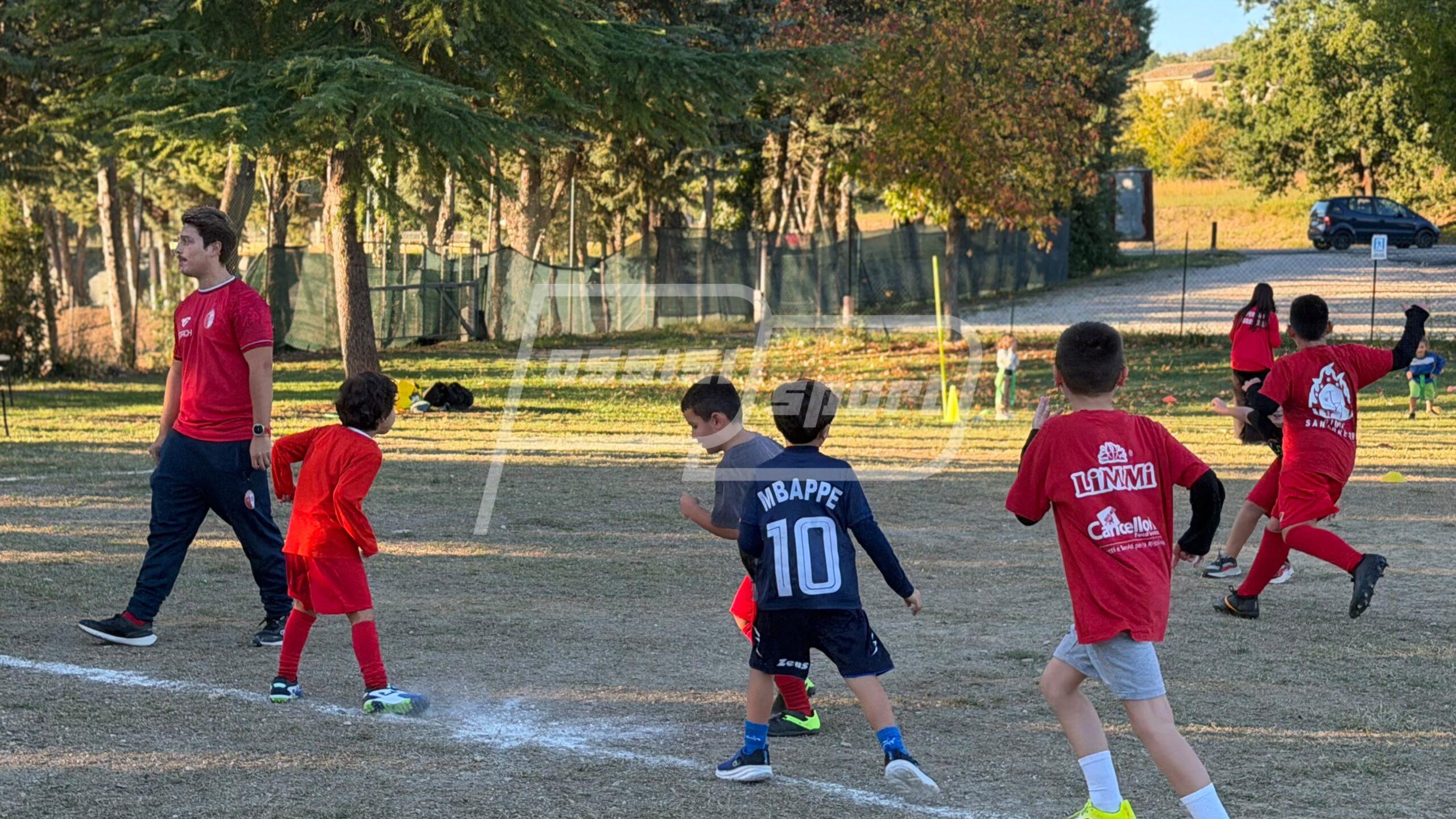 Assisi Rugby