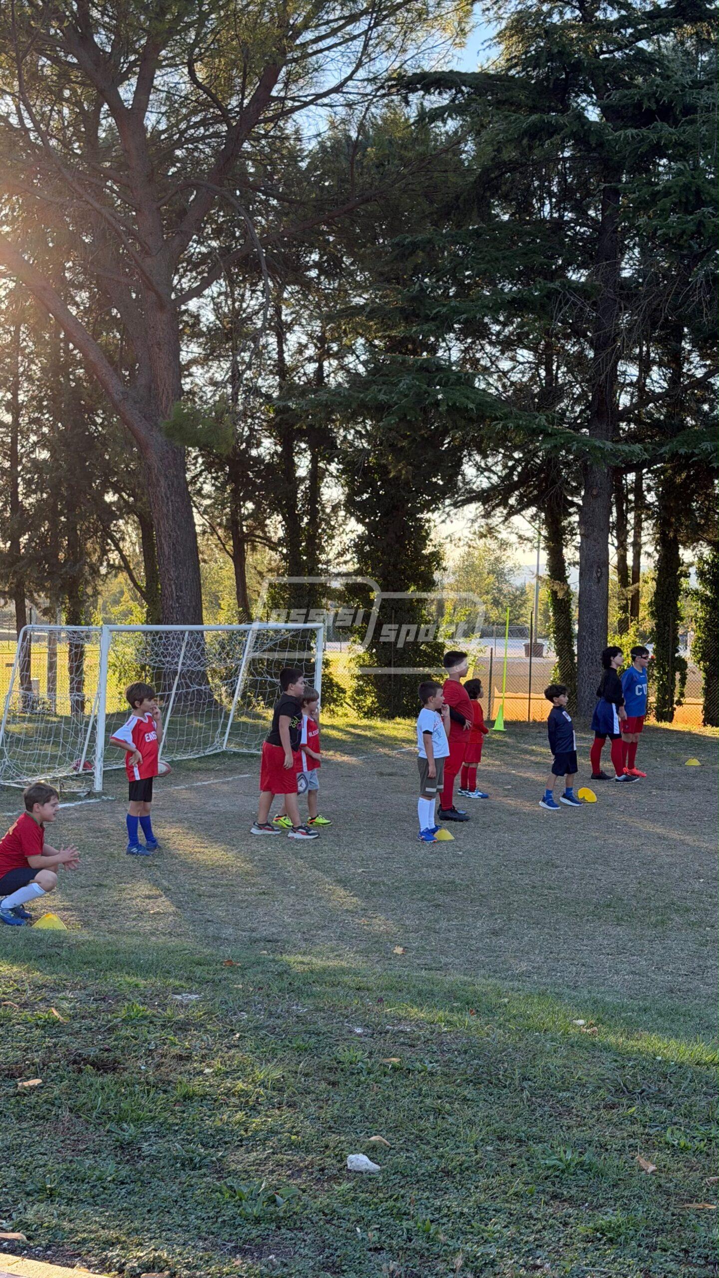 Assisi Rugby