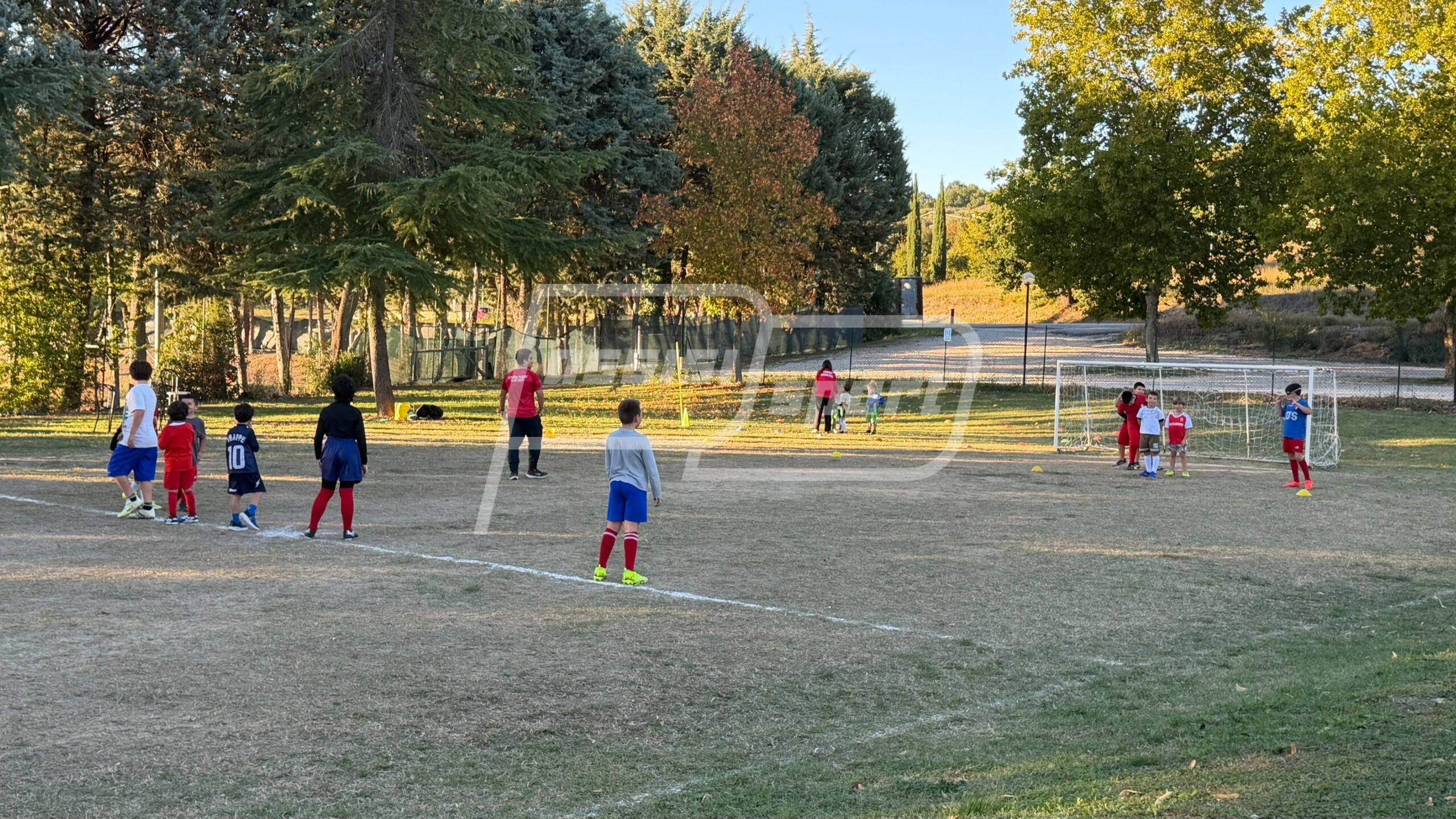 Assisi Rugby