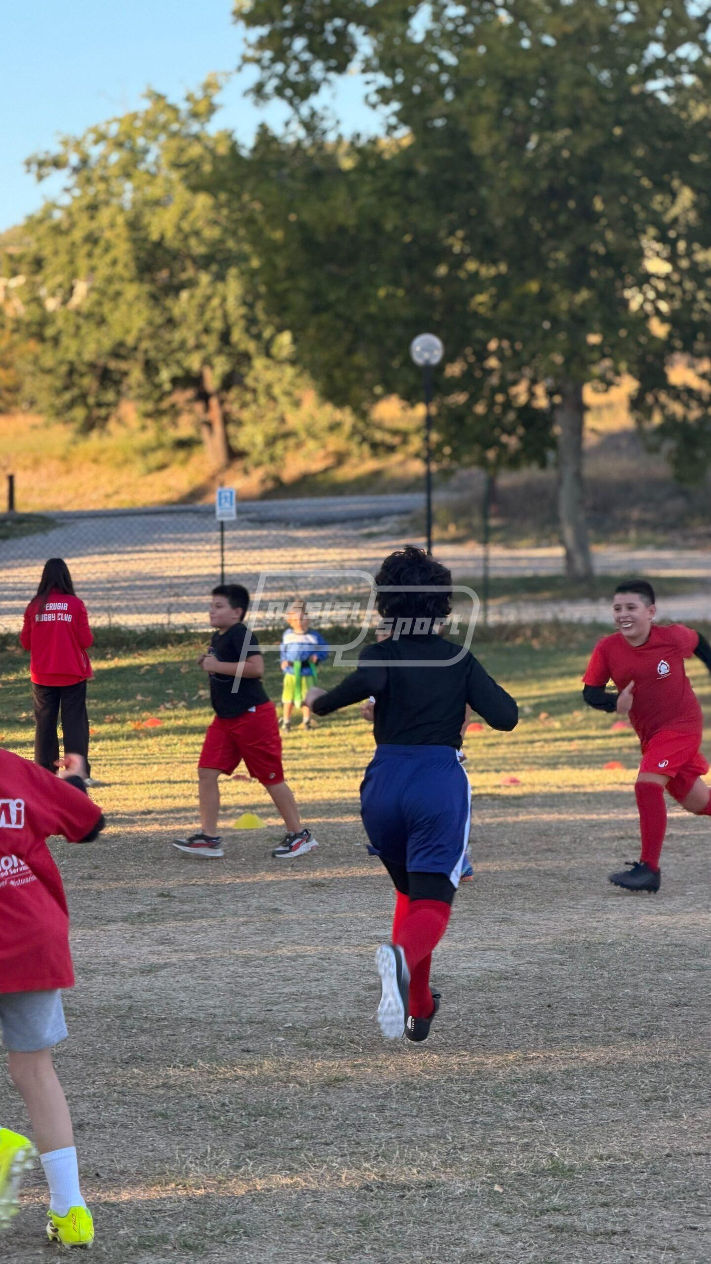 Assisi Rugby