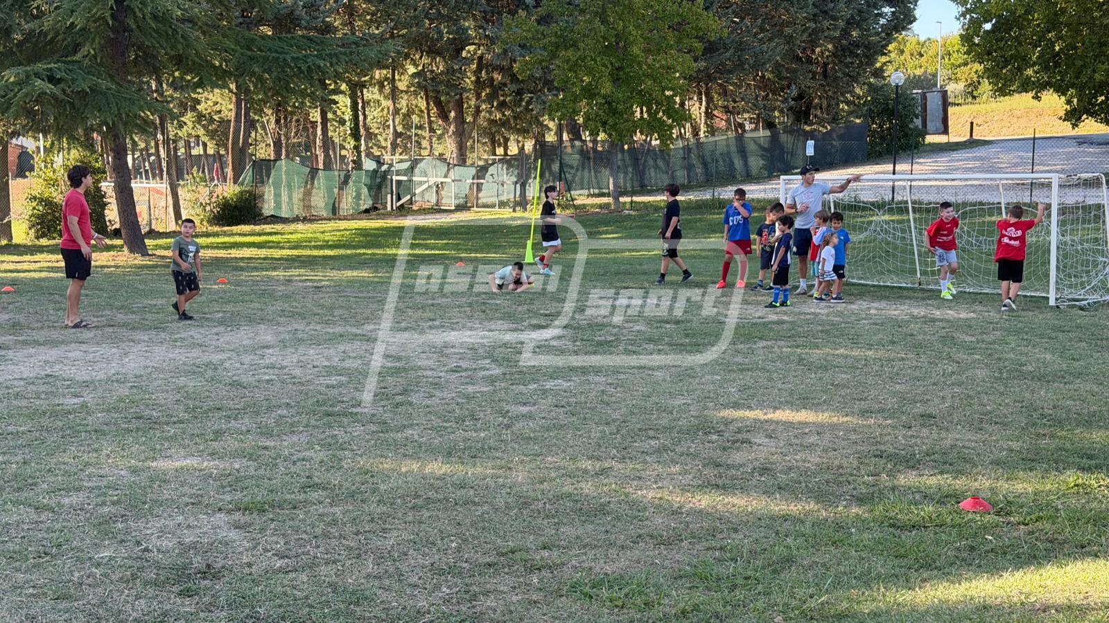 Rugby Assisi
