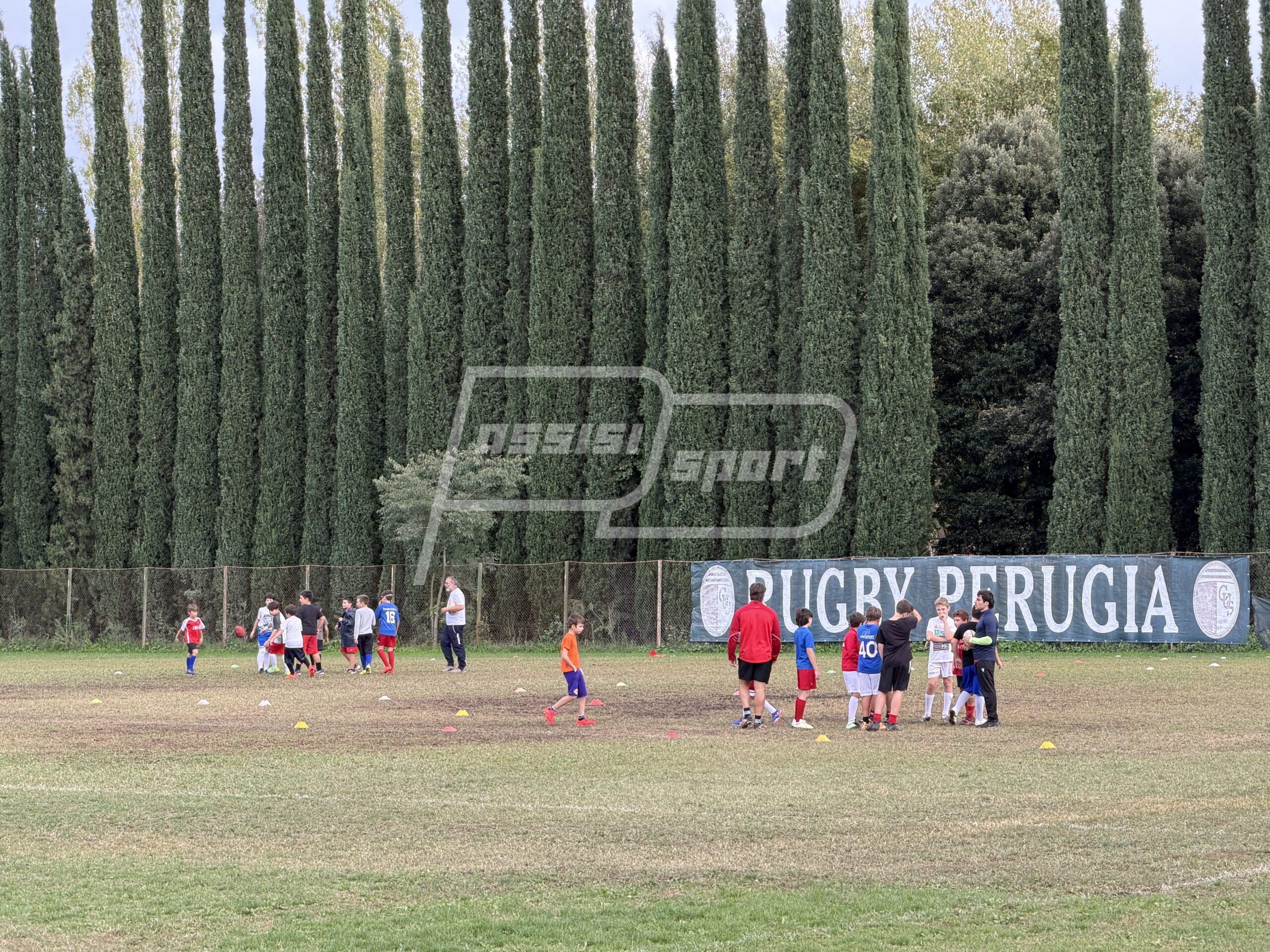 Assisi Rugby