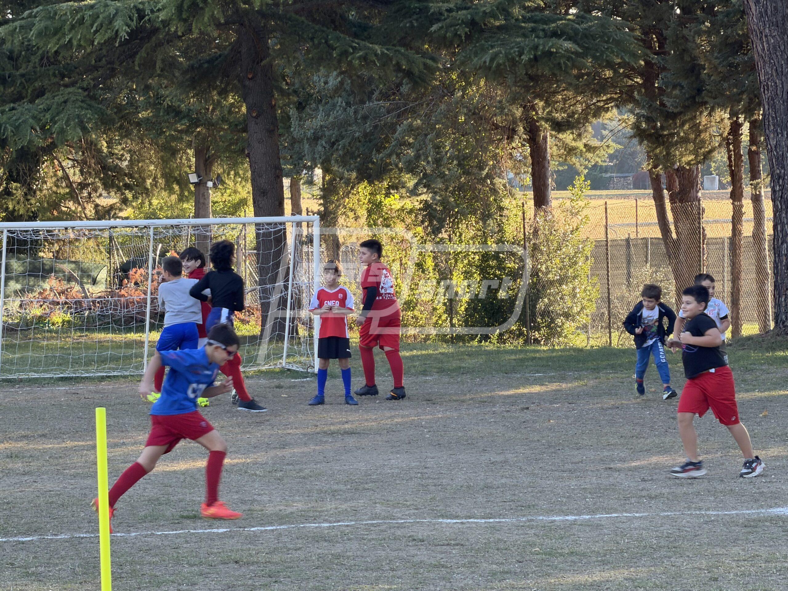 Assisi Rugby