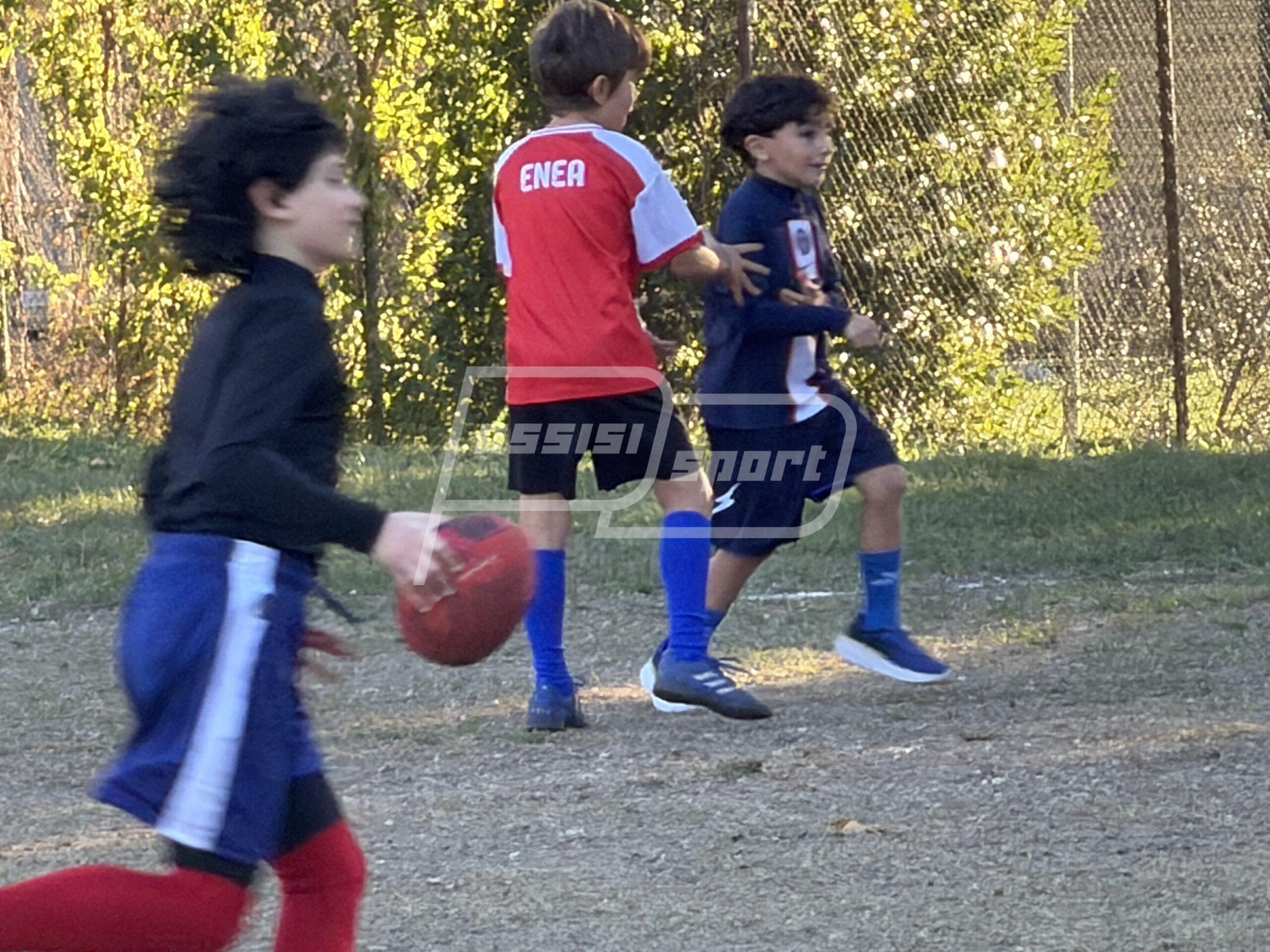 Assisi Rugby