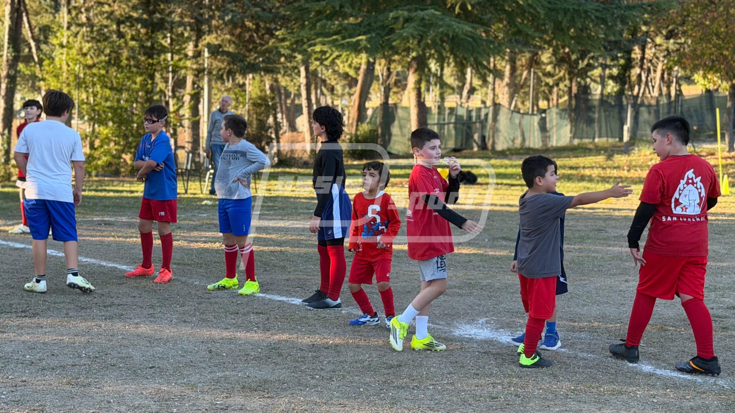 Assisi Rugby
