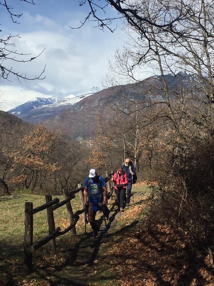 91EB17D3-3A83-4FB4-AC14-C7B79E931109