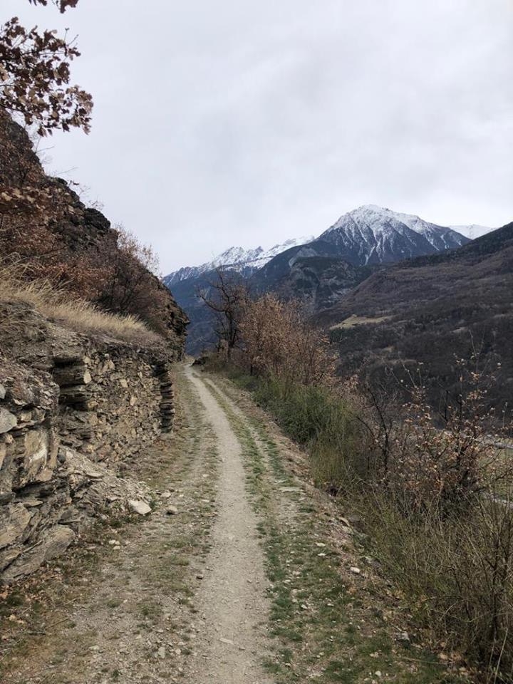 D6D2E0FA-2CD3-42AB-901D-6F2B75ABF1DF