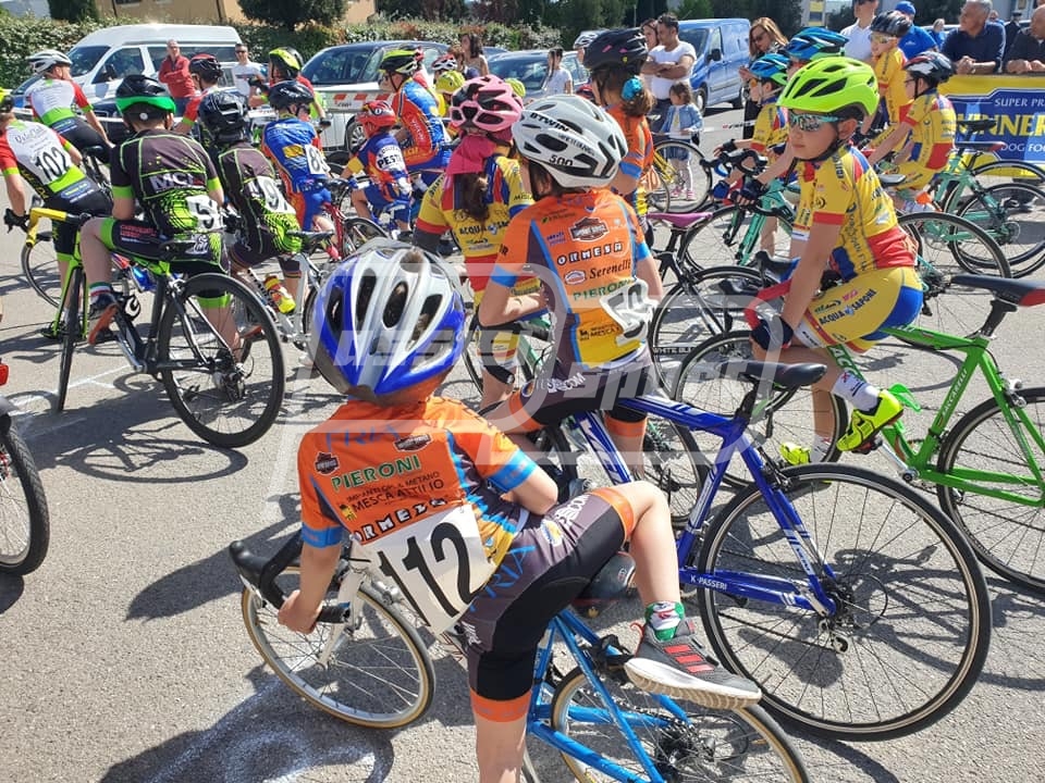 1559943E-9D6B-4A08-B091-49870B05D71F