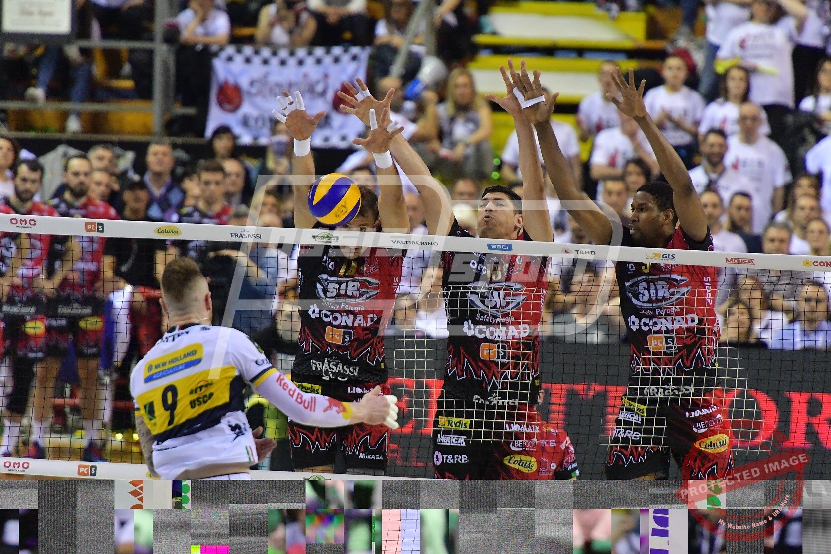 539E6FE3-D462-4835-987F-64F02835443A