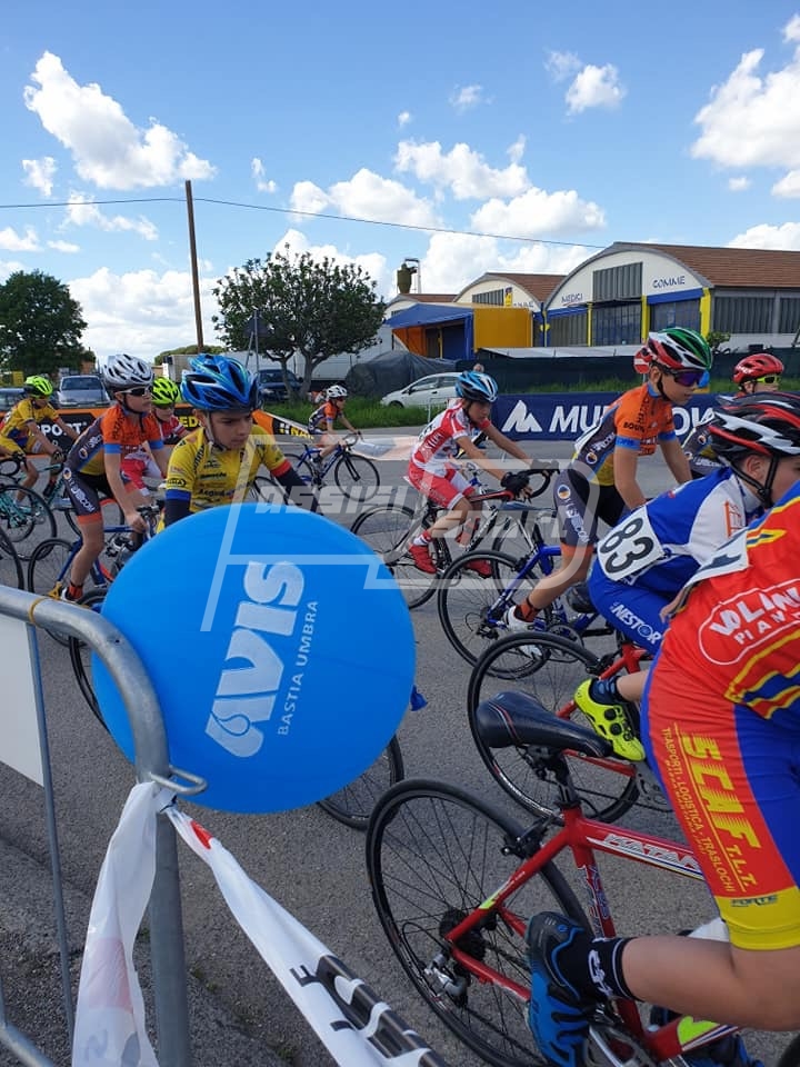 78F23856-7CD6-41E5-8FC1-A3A44D841D6F