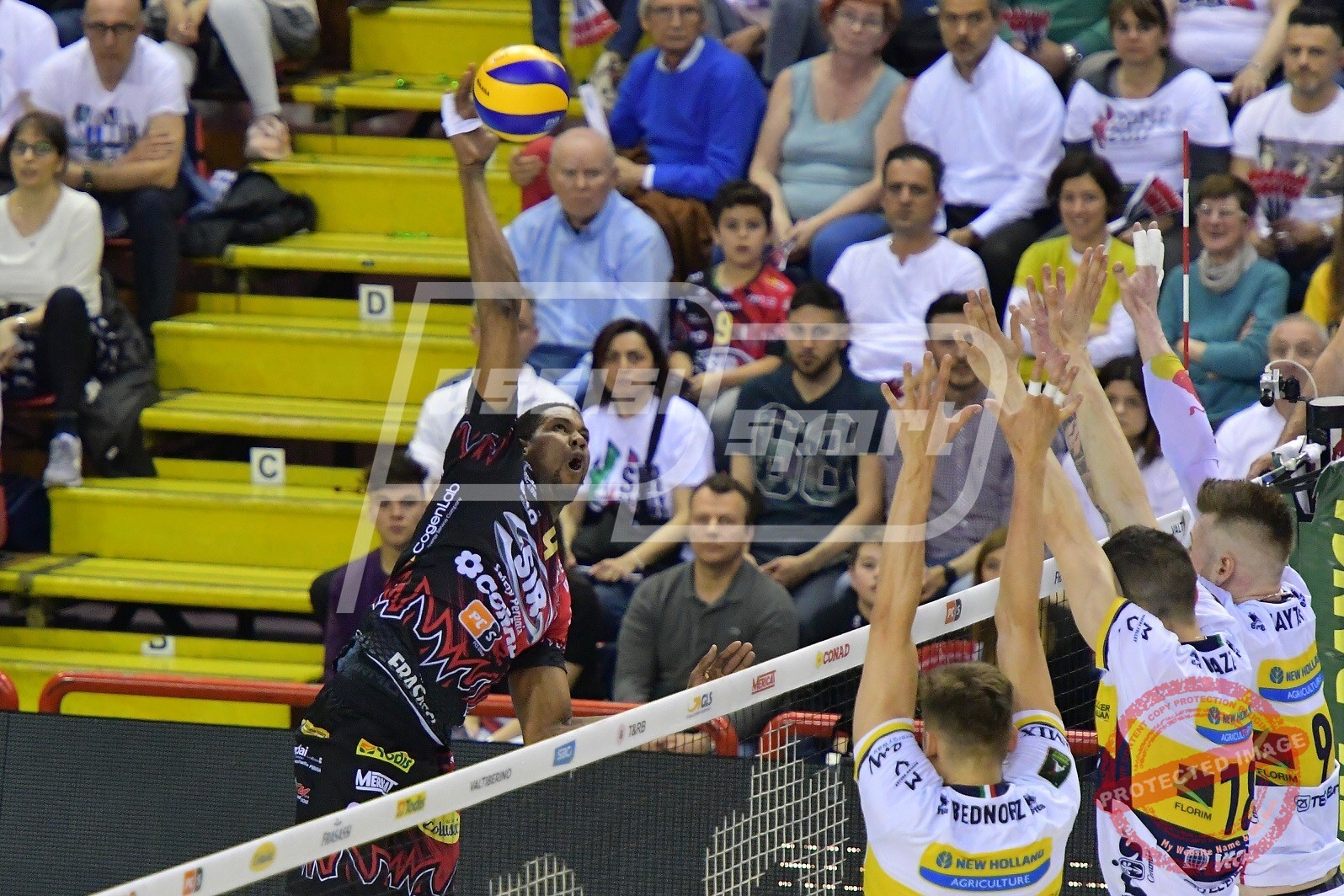 915EE523-8B12-4D64-B133-DEF3B4615472