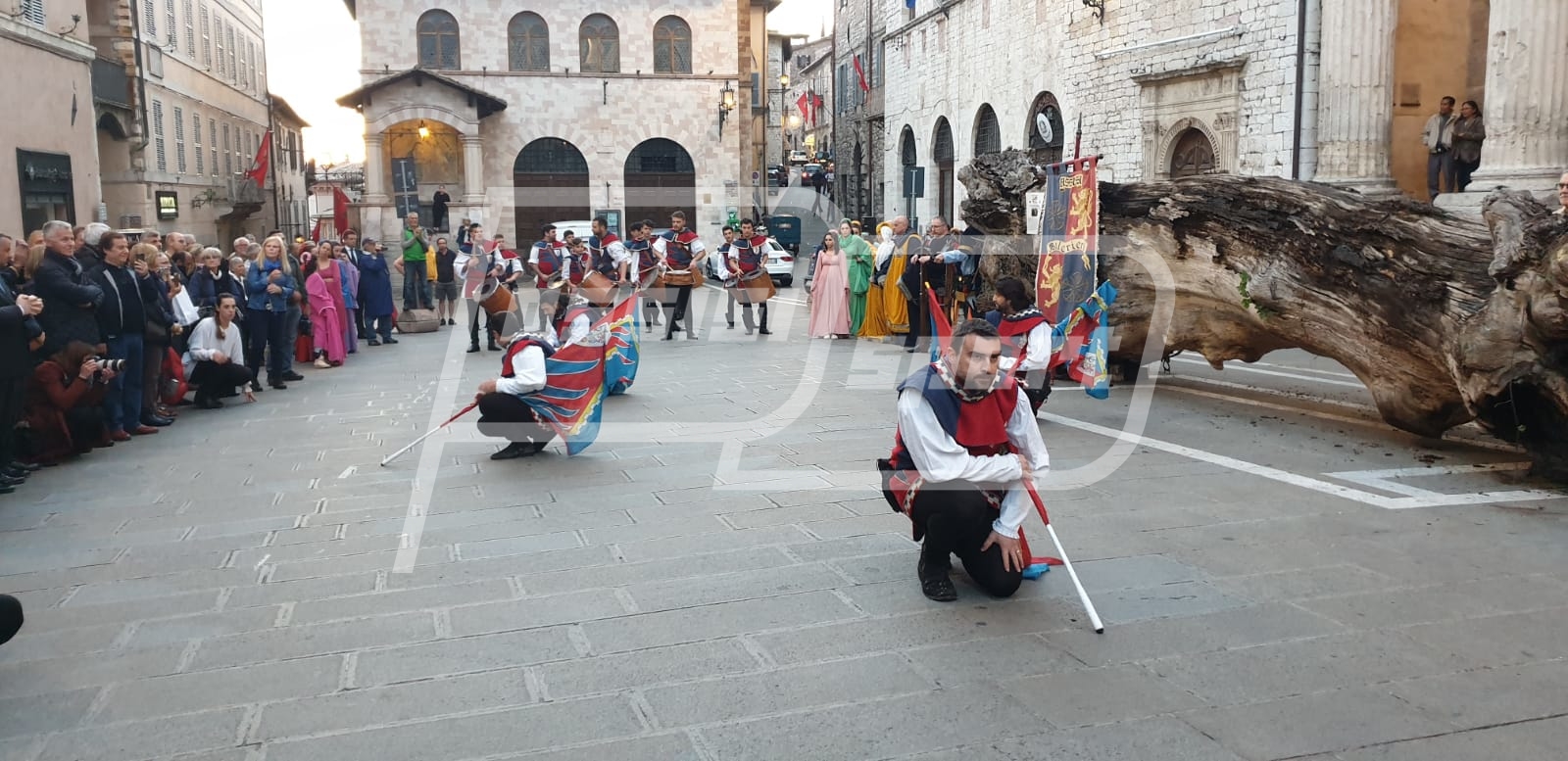 09414C17-7C08-440C-B566-87756E5A6299