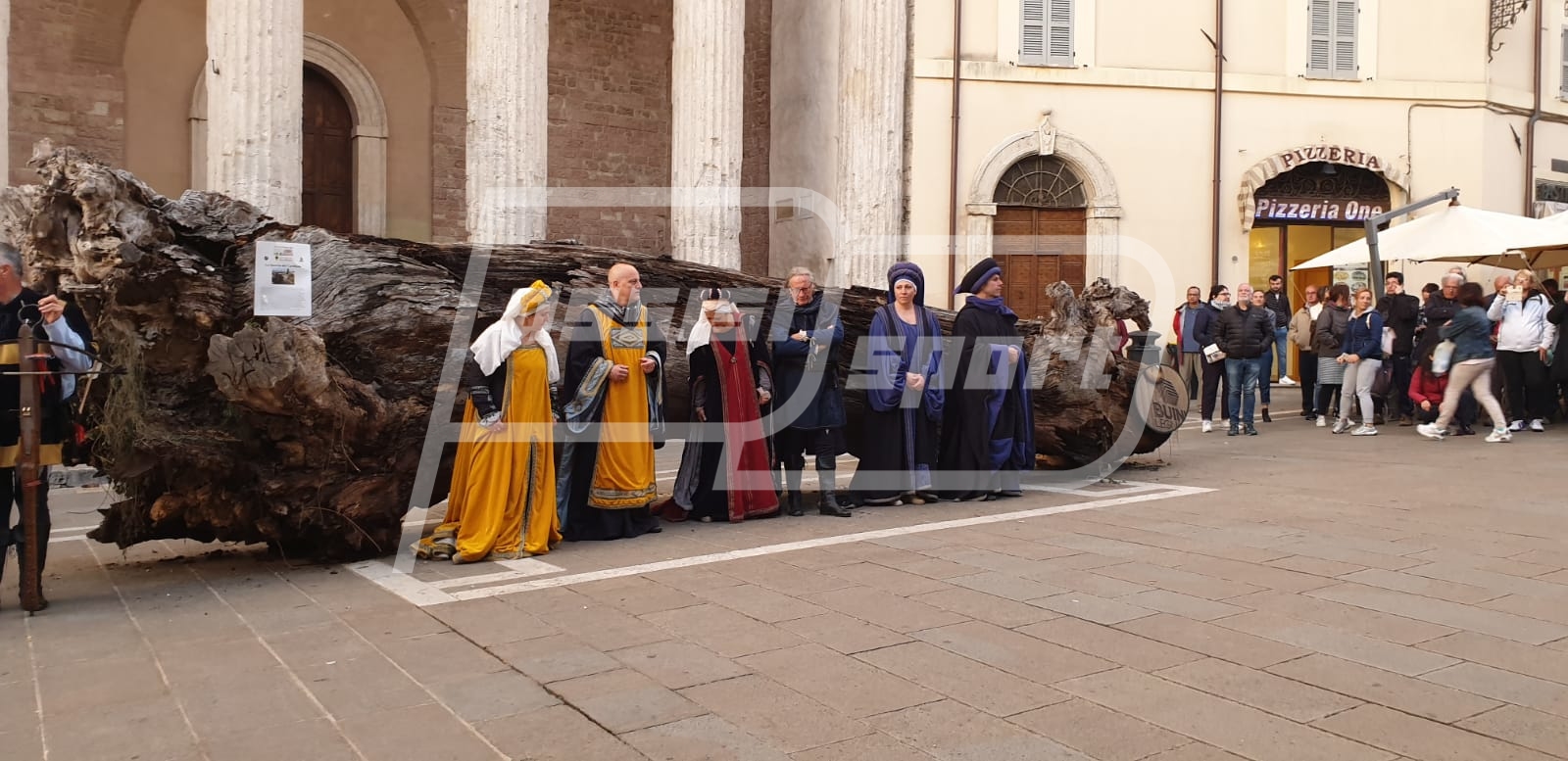 2667F131-9B5F-4529-A574-EF5116903A17