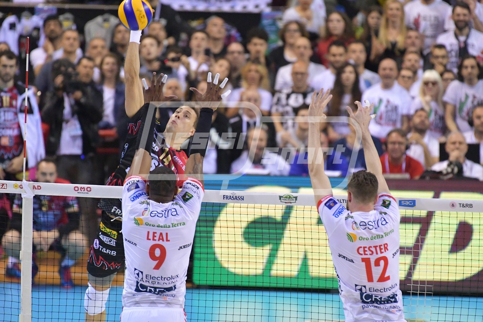 6EAFCECB-6008-42FD-BC82-BEAD37D5E51F