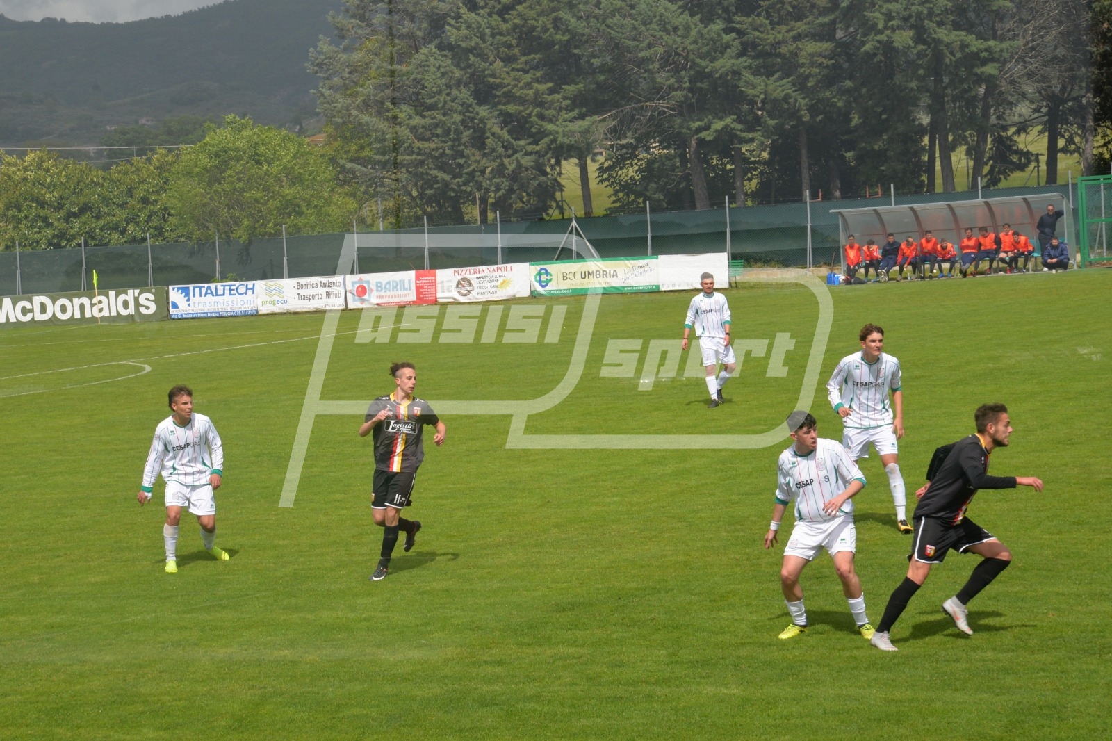 84FF0B2A-D3E1-4E82-9D78-F811C62AA4FA