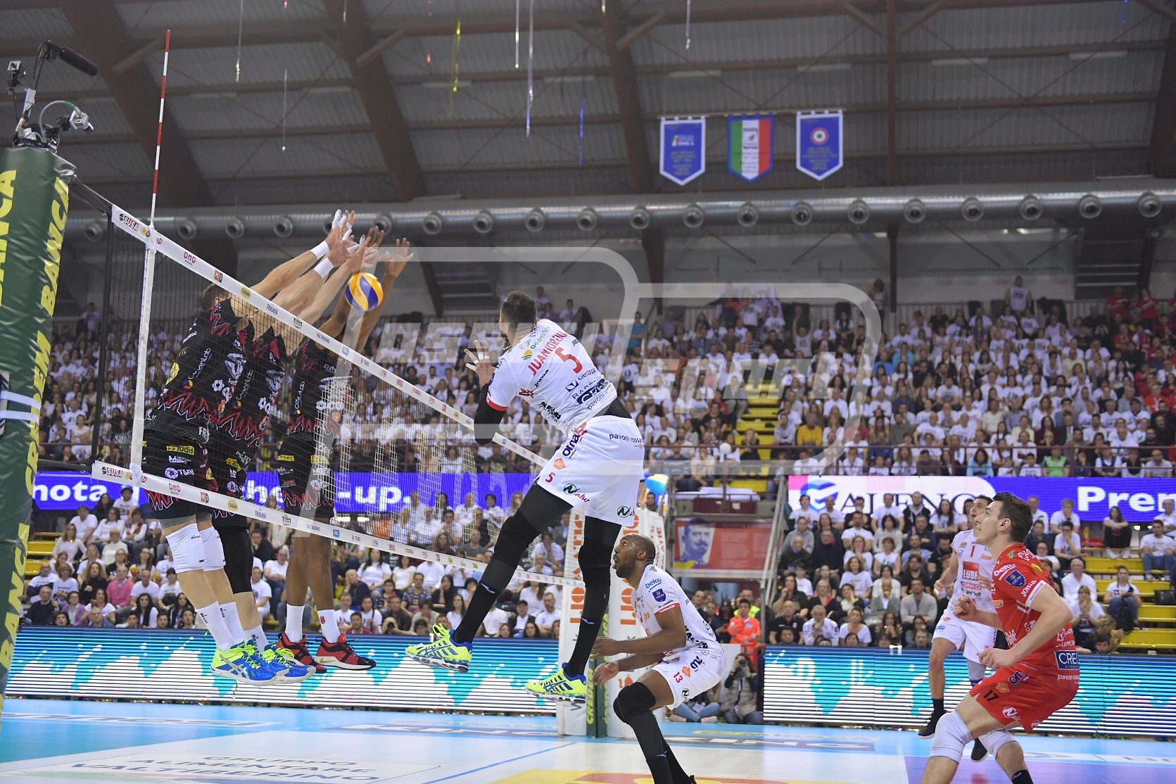 DD9B2DB2-F3DD-4657-AF73-1832D523ED16