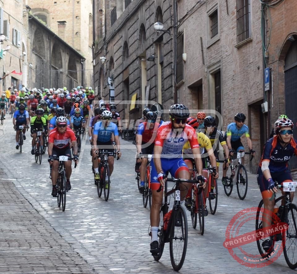 AA2AB0C7-A792-41B8-BBA2-8CF4A2FA9218