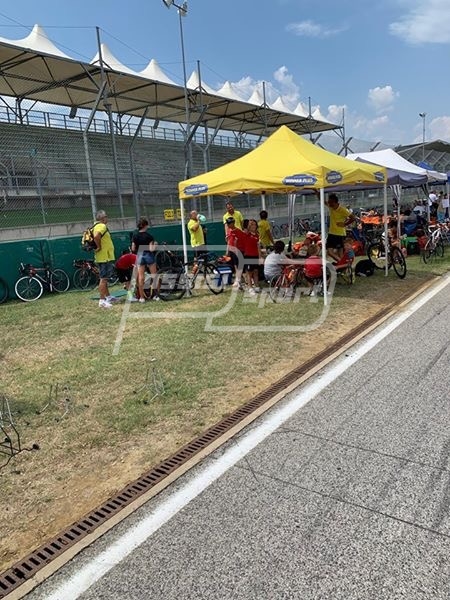 CAE84D32-03F2-49CF-A1DB-B4299F7D5990