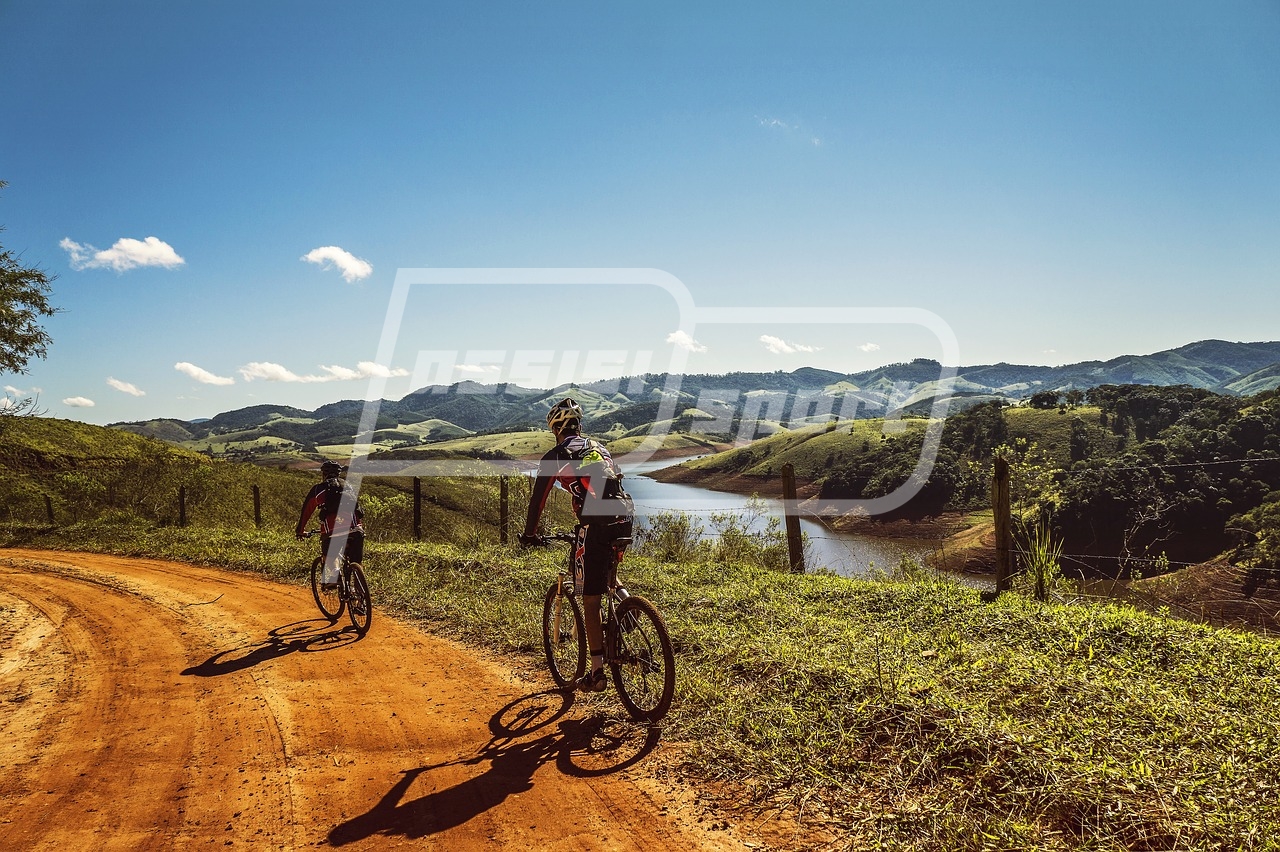 cyclists-1534907_1280