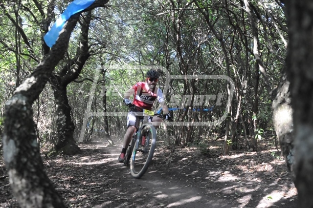 82B5BFBE-469E-40EB-AE43-B8D506C58333