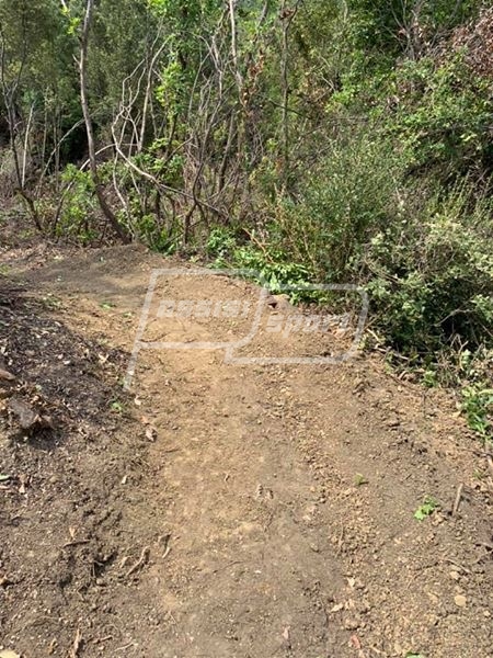 89A94062-7502-4FAF-A053-25F9C8F04A0C