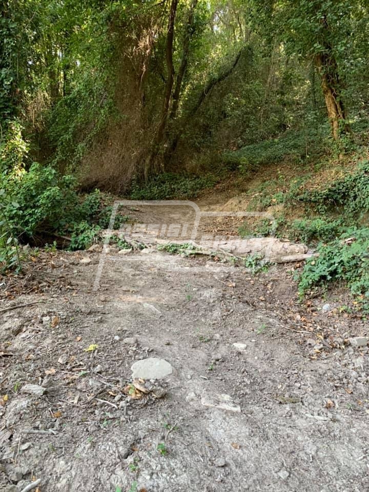 AF419535-61BF-4A2F-9A52-D2AACD6F809B