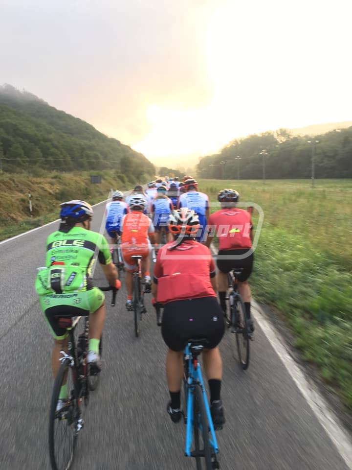 69752950_1272062042955184_3883186735265349632_n