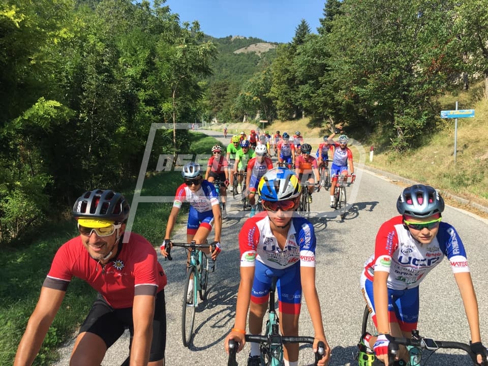 69923267_1272062266288495_4553970312328249344_n