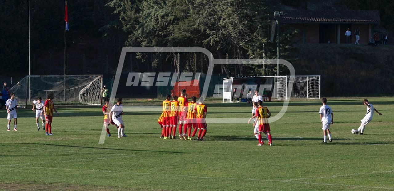 506595C8-733B-477C-8B21-22B9A02D085C