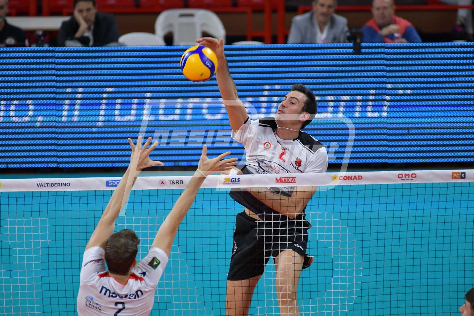 61828431-A178-4498-85C4-37F552B3BD8A