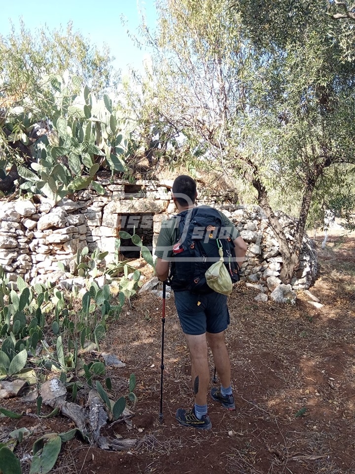 93D7E0DF-67A9-4D4C-8049-270B3A44AE3D