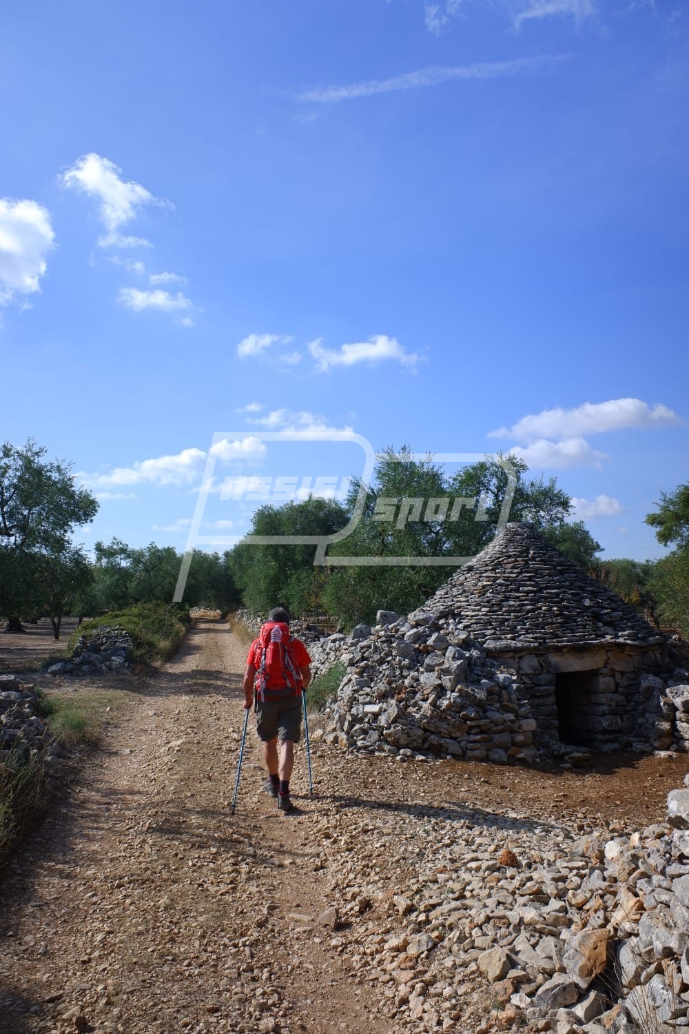 D627FFB9-867B-448A-A389-E5D3A8B32DD1