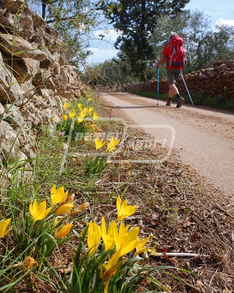 D9C98B46-877E-4560-867C-F11FD25AF851