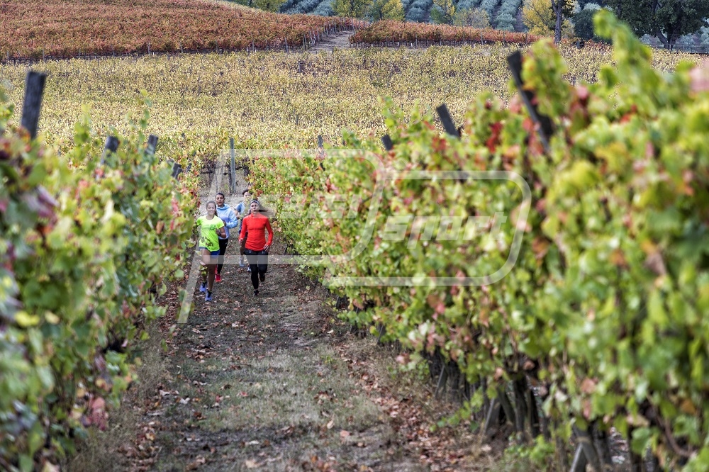 Sagrantino Running - Gallery 1