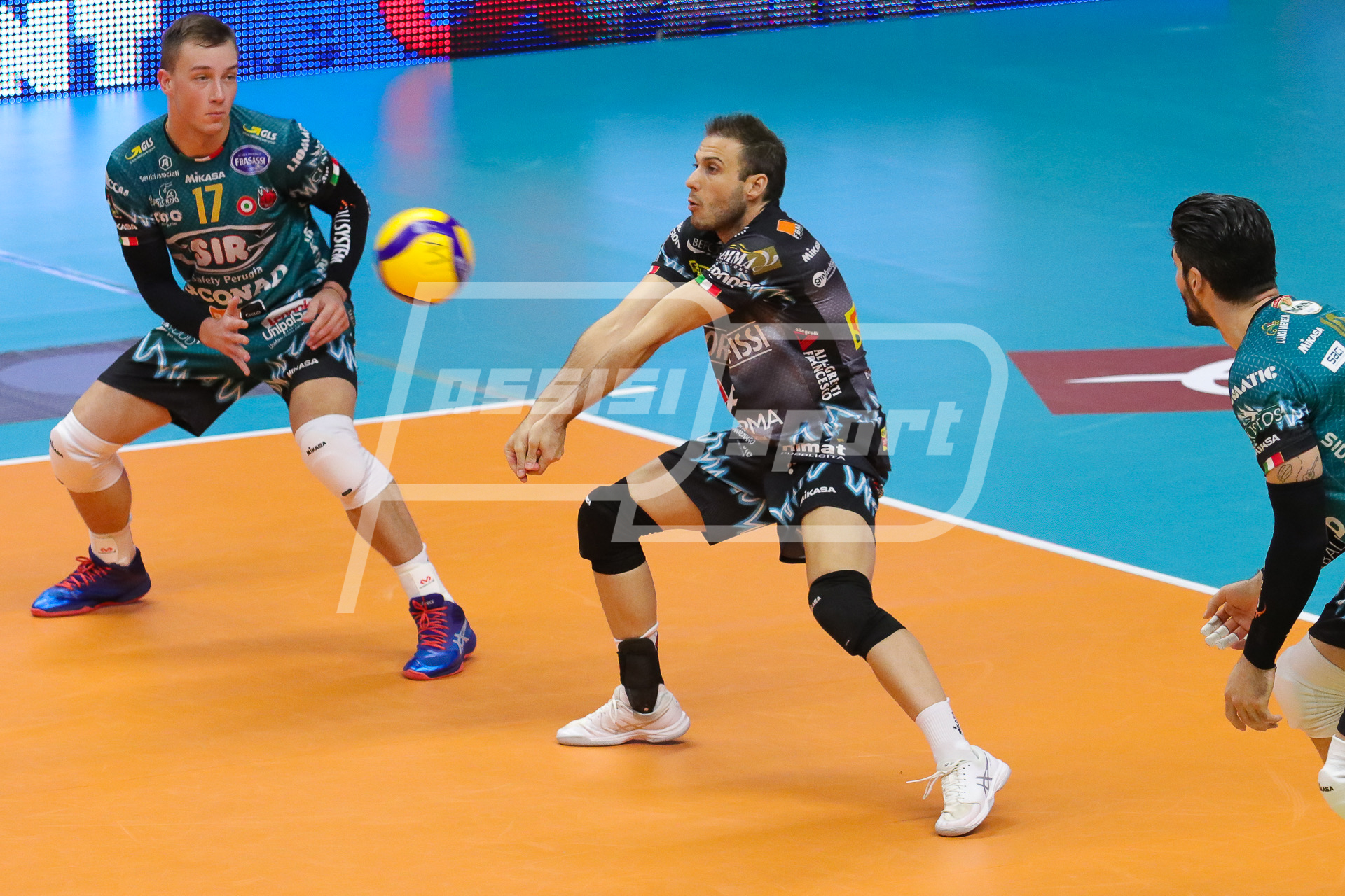 81367969-7CBE-4822-8217-0A7B77D7E10B