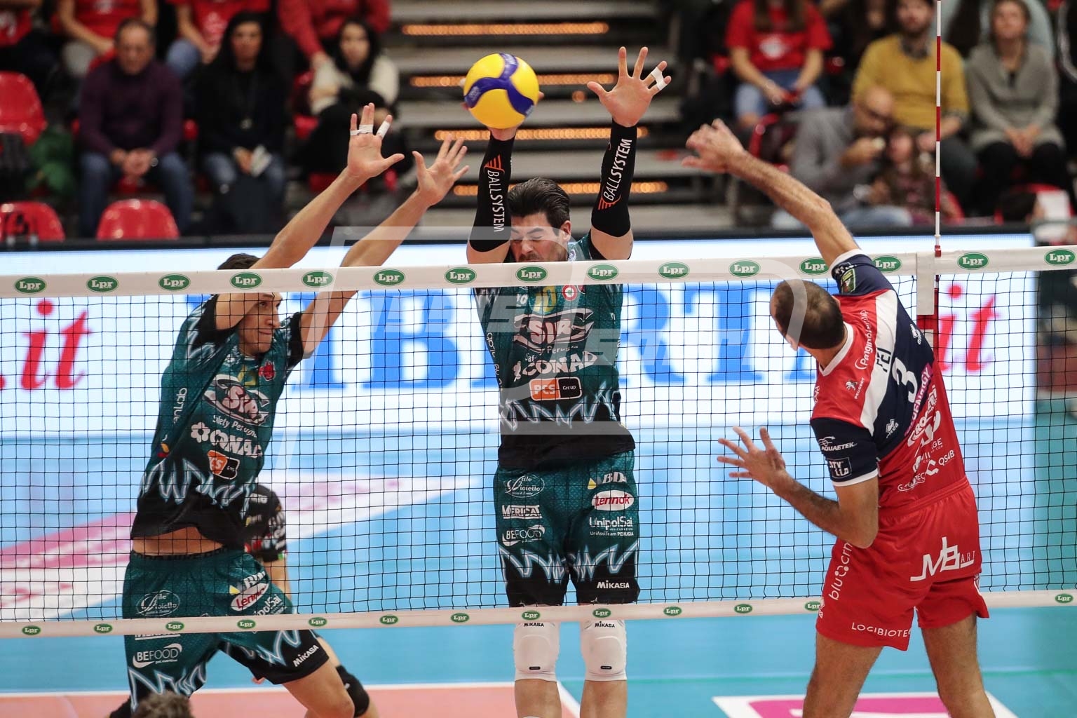 F3C8A54E-61DB-4693-B1DE-E822D6B42E6C