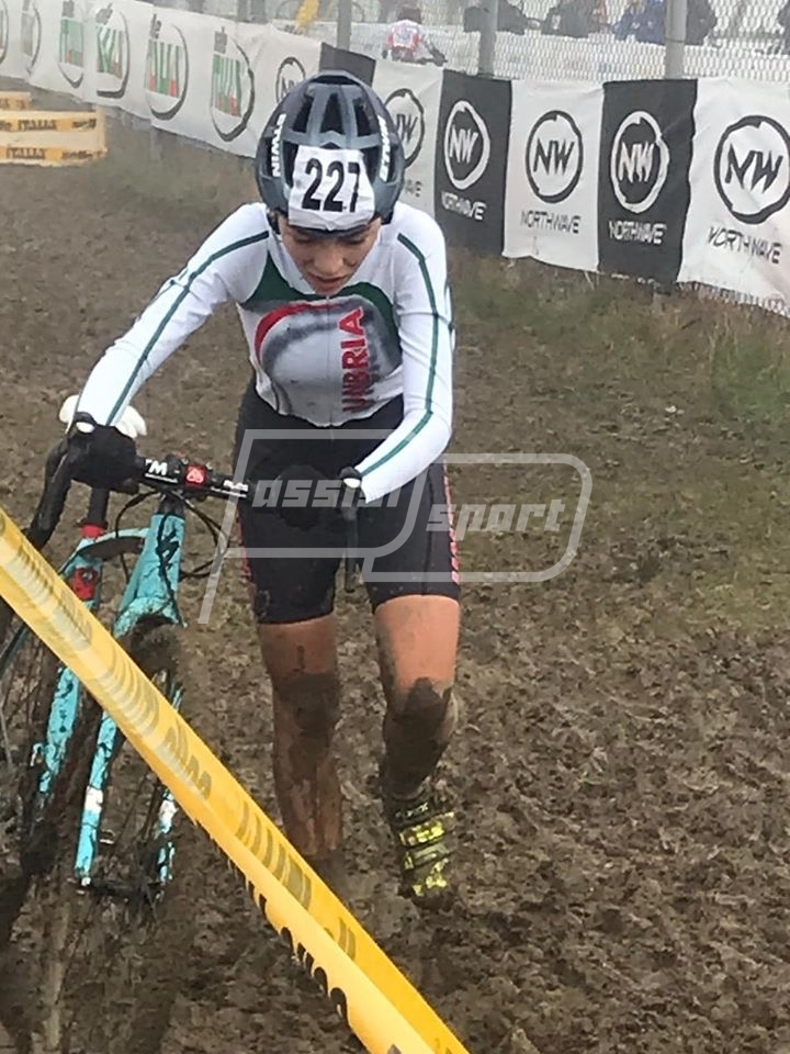 23EBC6D3-11F7-40AB-8257-D6D4F03DDC2E