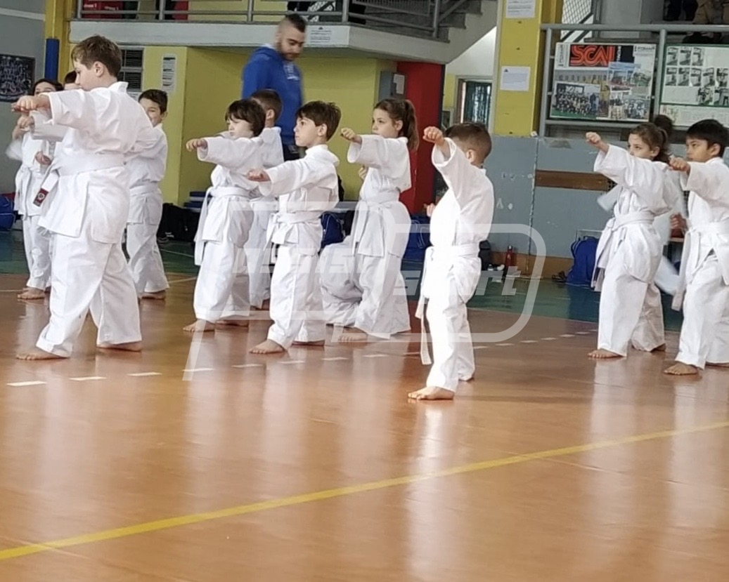 C29C2D06-0B92-45E8-87A9-CBD49E8040CD