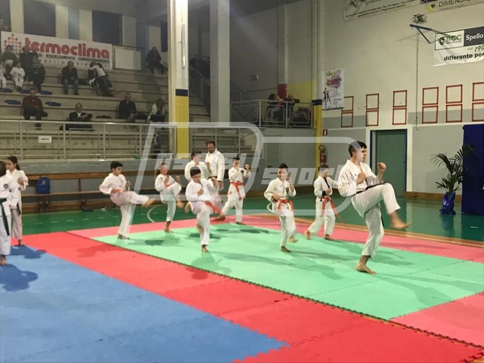 00F7A97C-619E-41CD-8483-66999FACD046